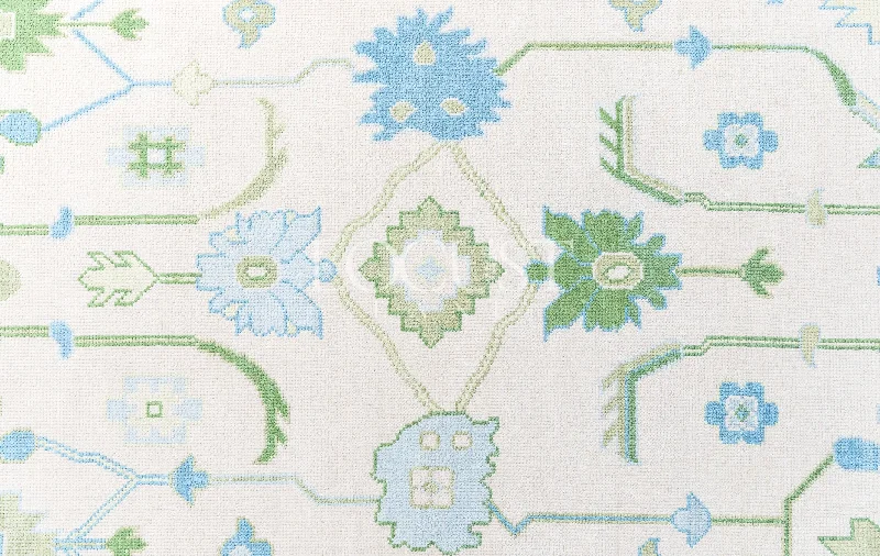 Emogene Modern Oushak Rug