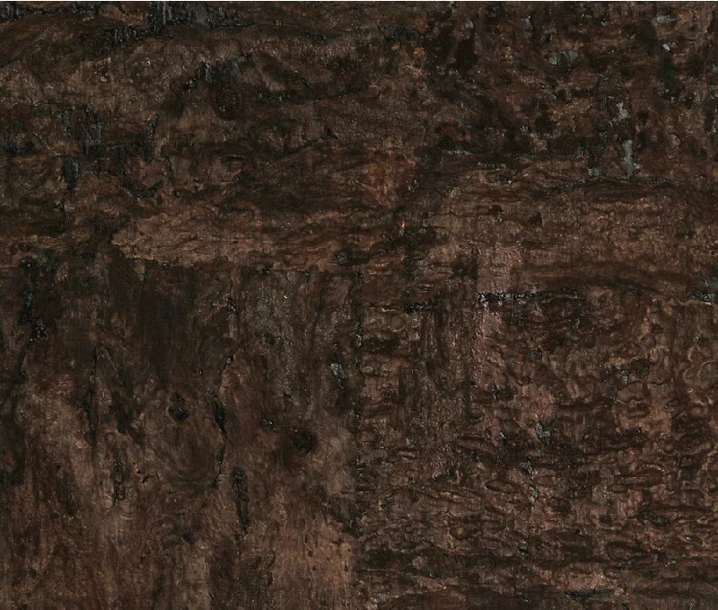 Cork Wallpaper in Mocha and Onyx from the Elemental Collection by Burke Decor