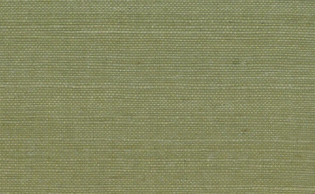 Grasscloth Wallpaper in Greens