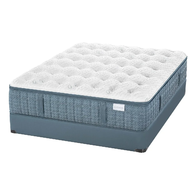 Aireloom Preferred Luxetop M1 15-inch Plush Mattress