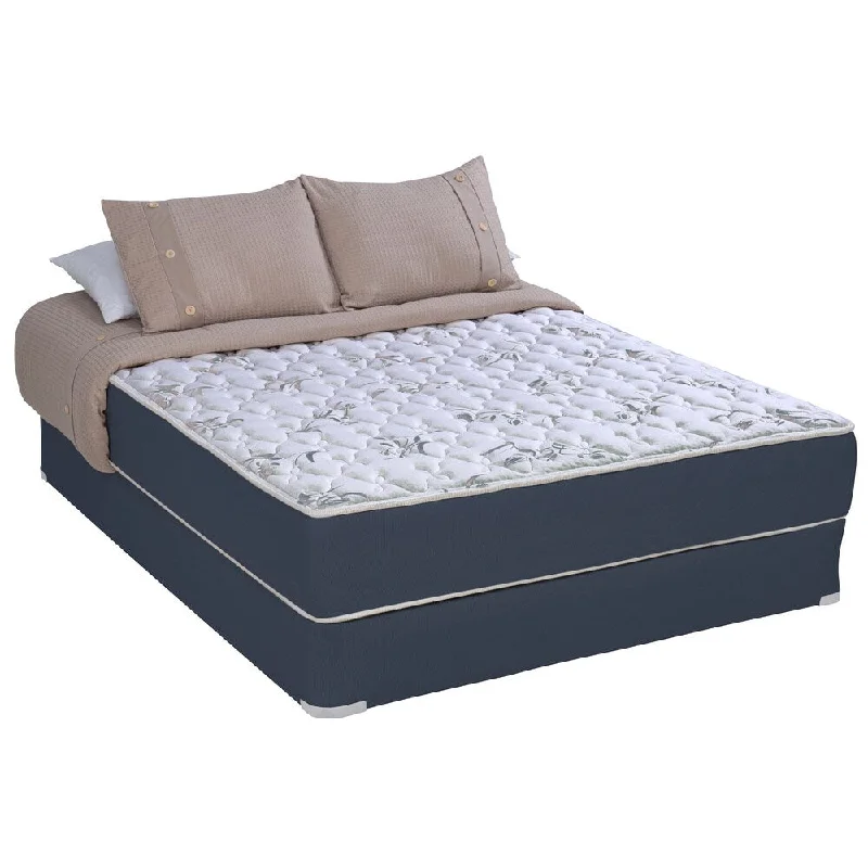 Wolf Sleep Accents Illusion Plush Queen-size Mattress and Foundation Set